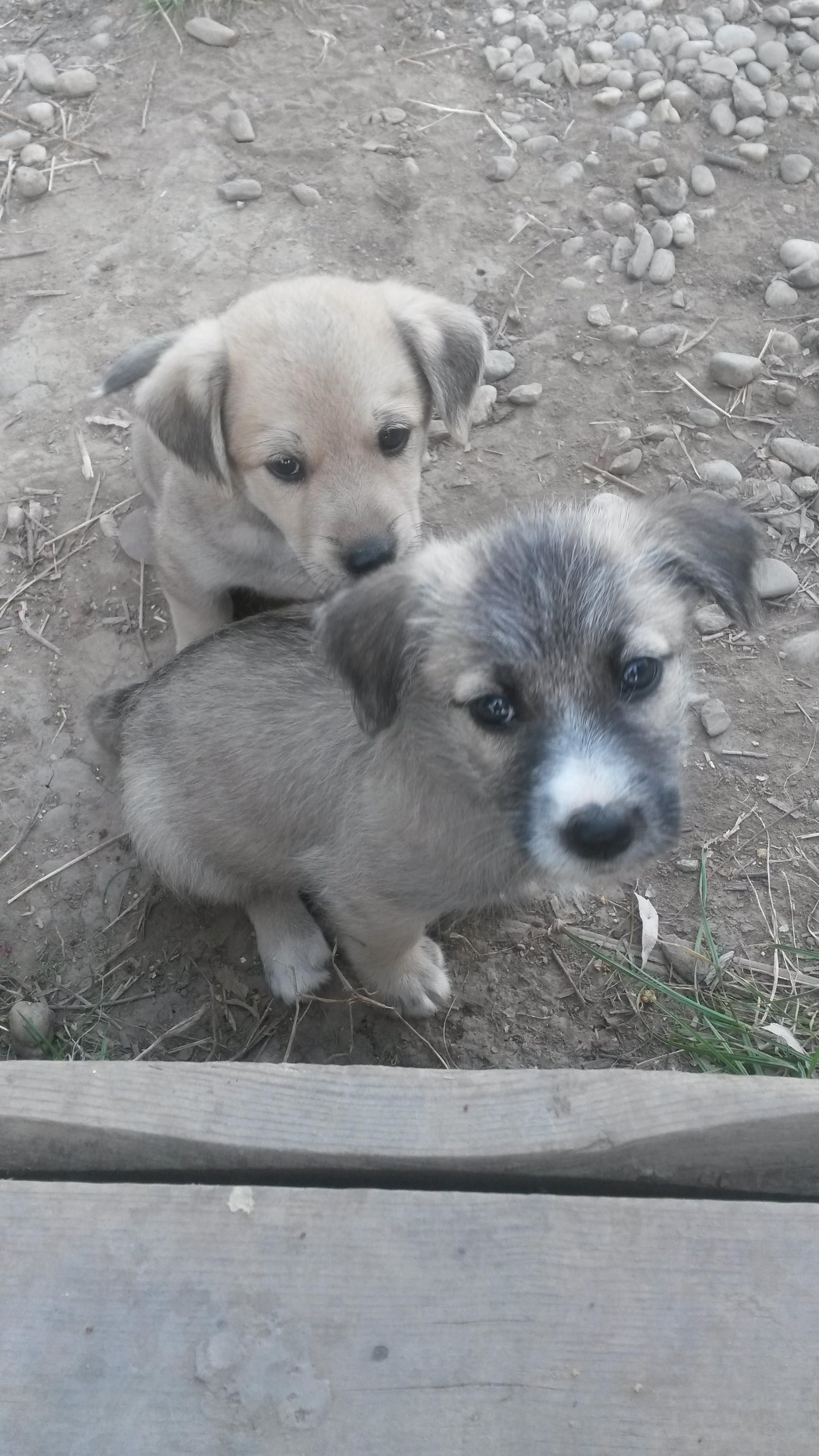 magura 9 - 20140921165358.jpg